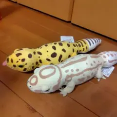 レオパのきいちゃん キャラクターグッズ