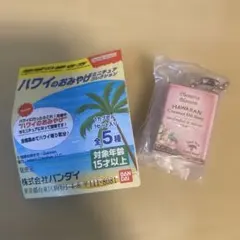 ハワイのおみやげ　ミニチュアコレクション