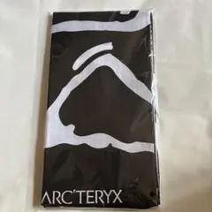 2026年最新】ARC'TERYX 手ぬぐいの人気アイテム - メルカリ