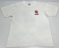 knmen127-0405 GREENDAY×VERDY コラボTee L