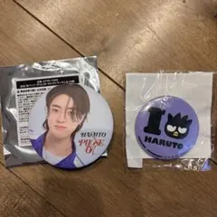 treasure ハルト 缶バッジ まとめ売り セット TREASURE トレジャー POPUPぬいぐるみくじ 缶バッチセットハルト