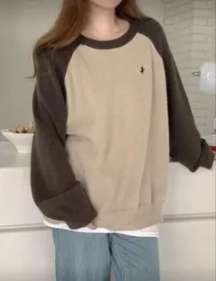 SHEIN DAZY ラグラン袖カラーブロック刺繍ニットセーター POLOニット