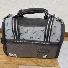 スヌーピー 2個入れ ボウリング用バッグ ワイン - メルカリ
