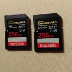 62 SanDisk Ultra SDXC 256GB 3枚セット - メルカリ