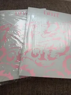 Stray kids スキズ　DO it アルバム　２枚