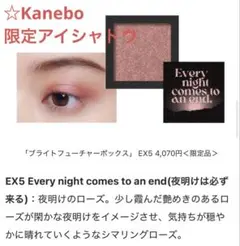 Kanebo ブライトフューチャーボックス EX05のサムネイル