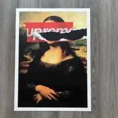 ケイトモス　wrong works ポスター ケイトモスwrong works ポスター