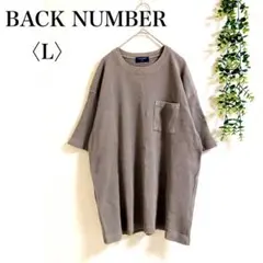 バックナンバー　半袖Tシャツ　胸ポケット　コットン　オーバーサイズ　体型カバー