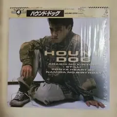 【美品１２インチ・４曲入りシングル】ハウンド・ドッグ／BEST４ YOU