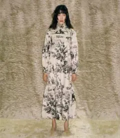 litmus JOHN French Scenic Printed Dress