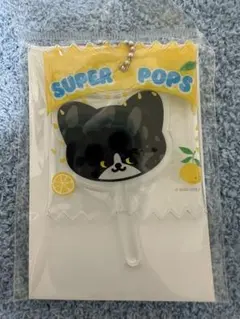 SUPER JUNIOR SJ Market ロリポップチャーム イェソン - メルカリ
