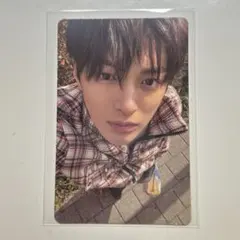 コルティス ゴノ トレカ