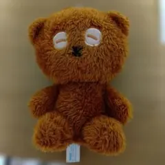 ティムキーホルダー