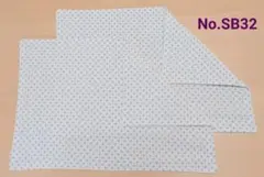 新品ランチョンマット2枚セット《No. SB32》