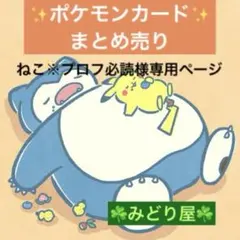 ねこ※プロフ必読様 リクエスト 3点 まとめ商品