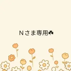 お得な夏のお花3点セット《1点限定》