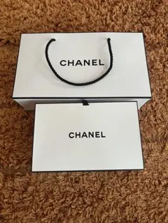 CHANEL ギフト袋 2枚セット