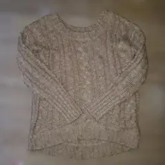 AZUL ケーブル編みニット FREE　ブラウン　レディース