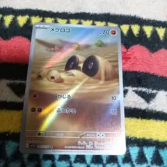 ①D中古41-4/メグロコ/2023年産