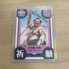 2026年最新】大の里 サインカードの人気アイテム - メルカリ