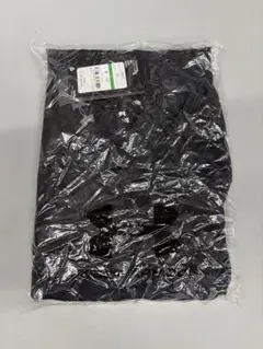 Item thumbnail for item 1cb51173-1b28-440f-989c-c513dc0d9be2