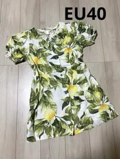 Item thumbnail for item 6a4b2d23-b156-43f9-b768-e7d990cf6d3c