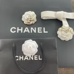 CHANELカメリア 紙袋大・小 CHANELリボン　カメリア付　　D&G大紙袋
