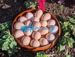 まっちゃん様専用ページ6個