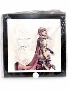 ライトニング イラストプレート　ファイナルファンタジーXIII アルティメット 2026年最新】FF13 イラストプレートの人気アイテム - メルカリ