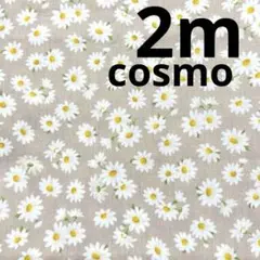 【特価】最終出品★cosmoシーチング★花柄★モカ色系★