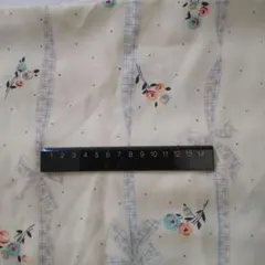 Item thumbnail for item 17a805be-a921-4970-a8c2-0c559409c340