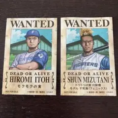 FIGHTERS WANTEDポスター 2枚セット