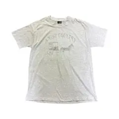 90s USA製 FRUIT OF THE LOOM Tシャツ　古着　8Sd