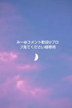 みー@コメント歓迎☺︎プロフ見てください様専用商品