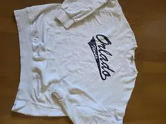 オーランド フロリダ プリント スウェット Lサイズロゴ　グラフィック海外