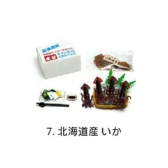 『内袋の一部に痛み有り』＊内袋未開封＊産地直送もぎたてパック【⑦北海道産・いか】