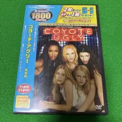 Coyote Ugly 特別版 DVD