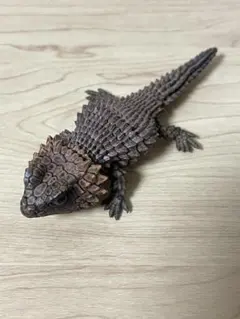 アルマジロトカゲ カプセルトイ