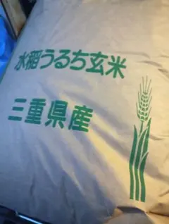 令和7年新米 三重県産自家用コシヒカリ 玄米30kg 送料込（北海道・沖縄除く）のサムネイル