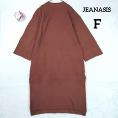 【ジーナシス】長袖 起毛リブニットワンピース (Ｆ) ブラウン クルーネック