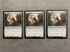 鋭い目の管理者/Keen-Eyed Curator[BLB]3枚