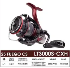 ダイワ　管430GG 海外モデル フエゴ CS LT 2500S-XH　美品 ダイワ 管430GG 海外モデル フエゴ CS LT 2500S-XH 美品 - メルカリ