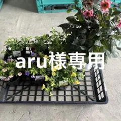 aru様専用