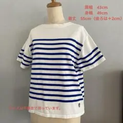 ORCIVAL オーシバル　オーチバル　ボーダーニットのサムネイル