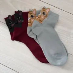 猫 ソックス