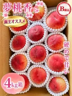 山梨県産　(夢桃香) B級品4kg箱 硬めで甘いのサムネイル