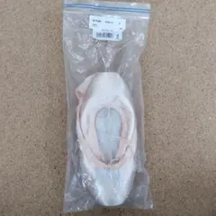 BLOCH S0134L ドゥミ ポワントシューズ 3のサムネイル