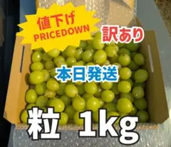 14山梨県産シャインマスカット粒売り1kg【訳あり】