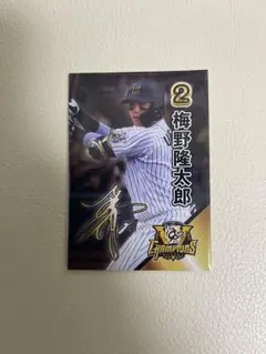 阪神タイガース　2025リーグ優勝　甲子園歴史館限定配布カード　梅野監督