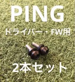 PING ドライバー・FW用 ネジ 2本セット